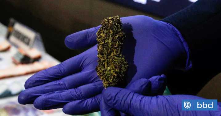 Marihuana y cocaína: funcionario de Sernapesca es detenido con 10 kilos de drogas en La Araucanía