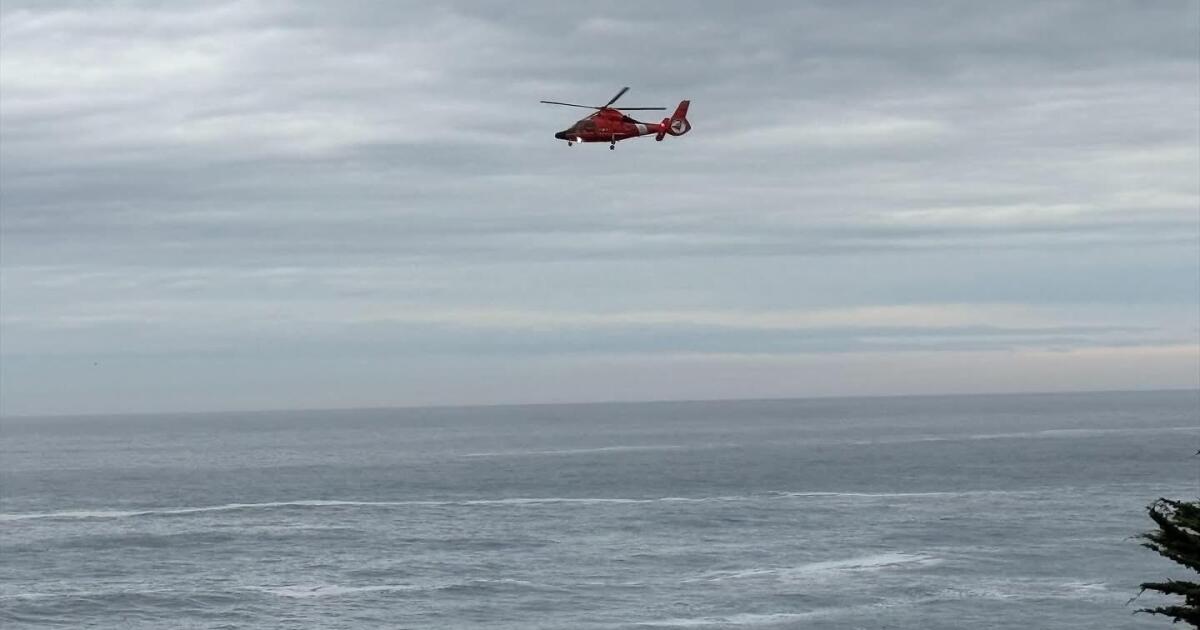 Father killed in surf near Big Sur is identified; 5