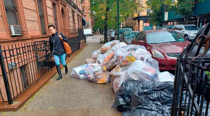 ¿Viste a alguien tirando basura desde un auto? Si lo acusas, podrías recibir una recompensa económica
