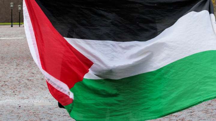 Sunnyvale man who cut flags from Highway 101 overpass arrested: SDPS