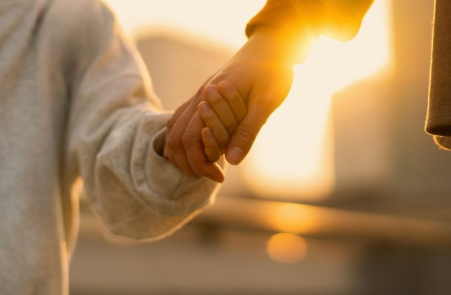 Court rules girl, 5, must keep surname of dad who raped her mum