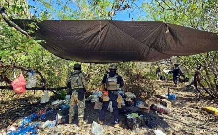 Desmantelan 4 narcocampamentos en zona limonera de Michoacán
