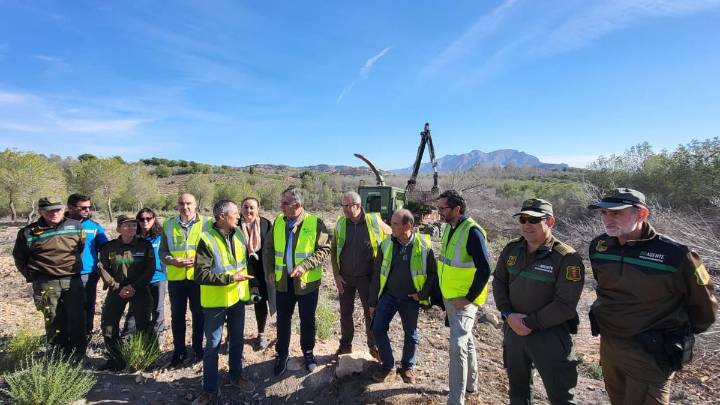 Los bosques al límite: Coto Cuadros recibe una intervención masiva frente al decaimiento forestal