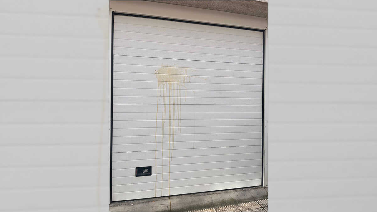 Vandalizan varias casas y cocheras en Santa Isabel: "Con lo caros que van los huevos"