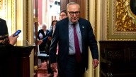 Schumer will push Senate to ‘immediately’ pass Epstein files bill