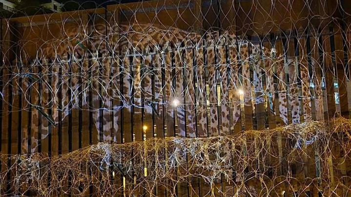 Reactivación de obras del muro fronterizo pone en riesgo hábitats y zonas sagradas de la región, alertan activistas