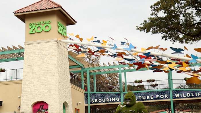 San Antonio Zoo offers $8 admission on Friday