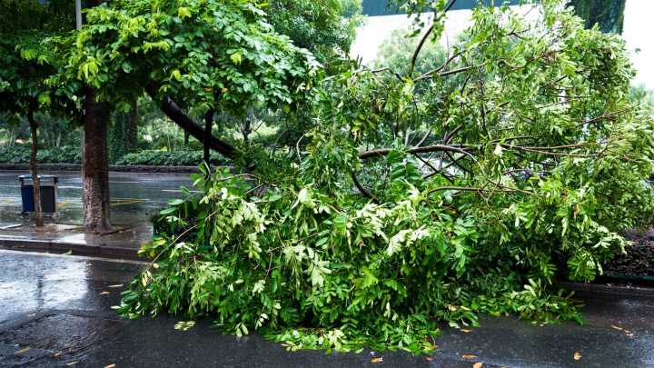 La borrasca Claudia deja 85 incidencias en Extremadura