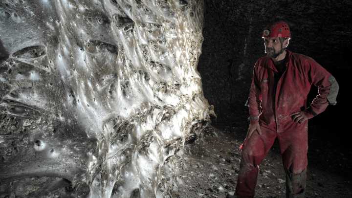 Descubren la telaraña más grande del mundo: más de 111.000 arañas y 106 metros cuadrados