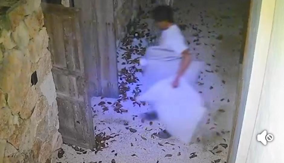 Con mudanza falsa dejan vacío un domicilio de Tulum