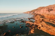 King Tides bring ideal tide pooling conditions to San Diego