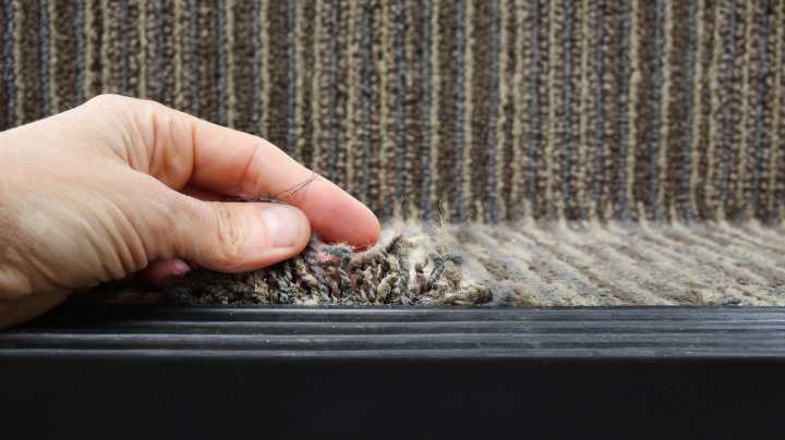 The Affordable Home Repair Essential That Can Fix Loose Carpet (It's So Renter