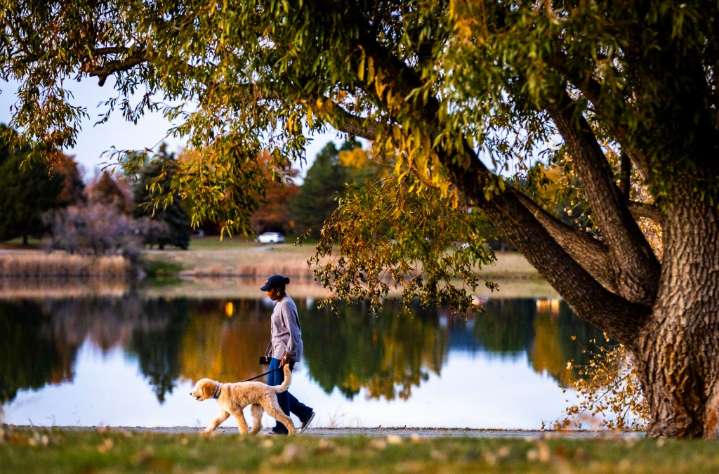 Go + Do events in Greeley for Nov. 7