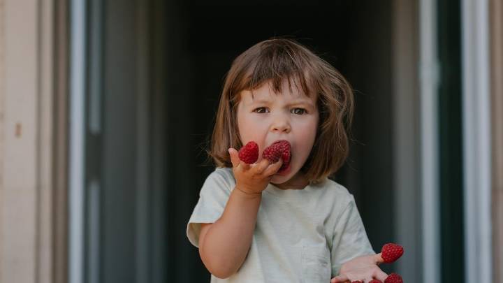 Pesticides used on Australian berries sold at Coles and Woolworths under review amid health concerns