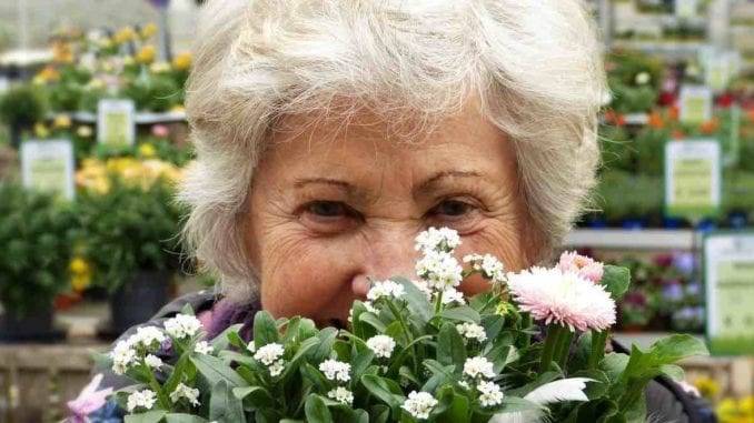 Mennonite Woman Selects Taylor Swift to Take Home Best Picture at the Grammy’s Tonight