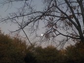 Heaven knows, it can be difficult to take a good photo of the sky: Whit & Whimsey