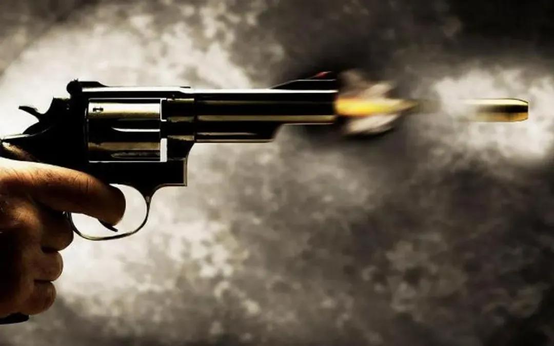 Two Class 11 students fire at classmate with licensed pistol in Gurugram; detained