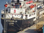 El buque con 2.901 vacas uruguayas no pudo desembarcar en Turquía y emprende un peligroso regreso: "Difícil que lleguen con vida"