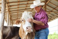 Nueva ley con el aporte de todos