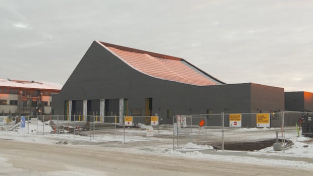 Edmonton could consider more partnerships with private industry to build future arenas, libraries: report