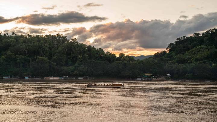 American teacher Daniel Owen and son stung to death in Laos