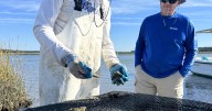Local fishermen inviting you to come along for a ride on Virginia Oyster Trail