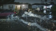 Treacherous travel, toppled trees in Southern California as storm dumps heavy rain on region