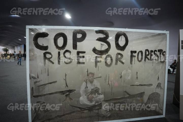COP30: Greenpeace advierte que el tiempo se acaba para proteger los bosques