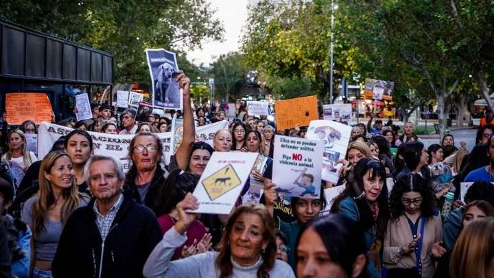 Realizarán una movilización en contra del maltrato animal: ¿cuándo?