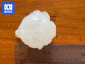 What led to the giant, damaging hail which smashed parts of Queensland over the weekend?