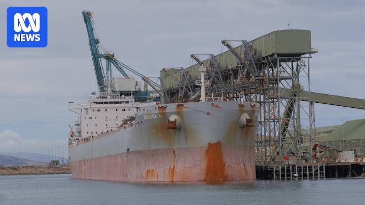 China agrees to import 65,000 tonnes of Australian canola after five