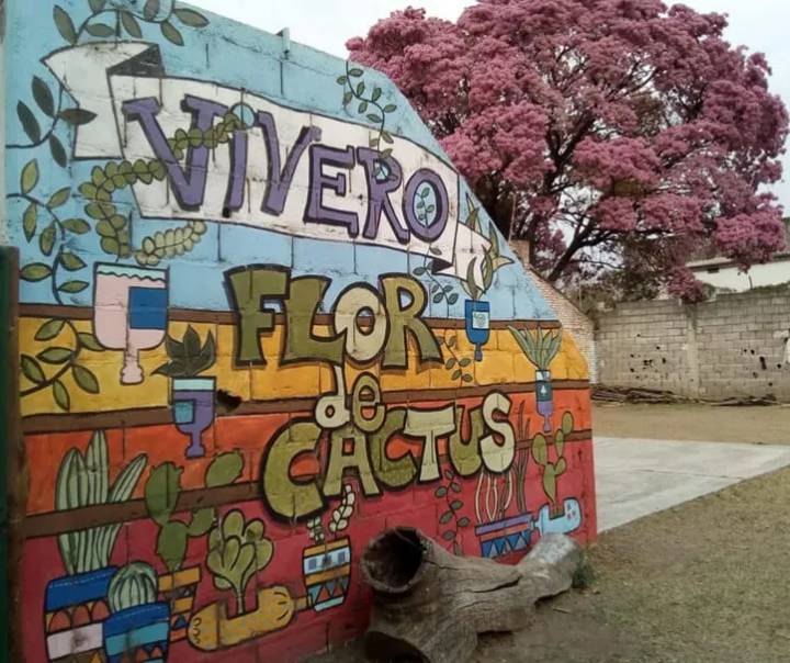 Salud mental comunitaria: Flor de Cactus realizará su octava feria en la Biblioteca Popular Alberdi