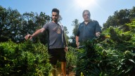 Why Kentucky hemp advocates say they have 364 days to save industry
