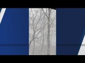 Vacationers from Florida get snowy surprise in north Georgia