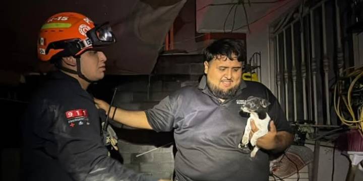 Rescatan a perrito tras explosión de pirotecnia en Pesquería, Nuevo León