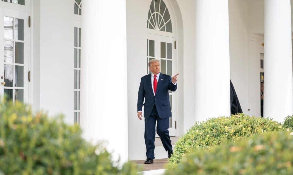 Trump desata críticas por insultar a una periodista llamándola “cerdita”