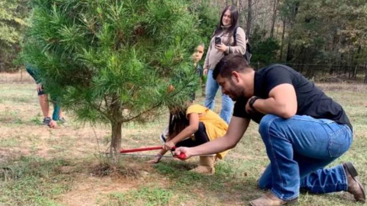East Texas Christmas tree farms open across the region