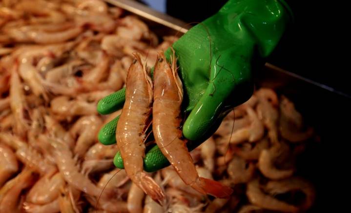 China suspende las importaciones de mariscos de Japón ante tensión bilateral