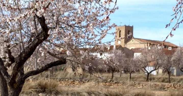 ​Un alcalde echa a sus dos concejales socialistas un mes después de la moción de censura contra el PP