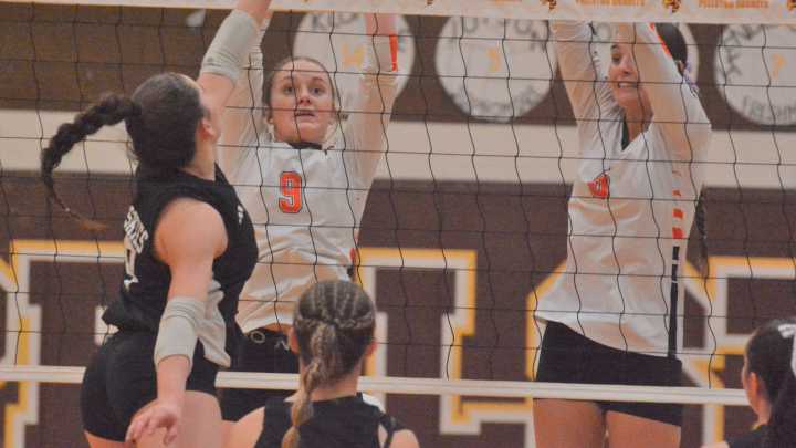 PHOTOS: Atlanta, Newberry battle in Division 4 regional volleyball final at Pellston