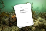 SA ill-prepared for ecological disaster: Damning federal algal bloom report 