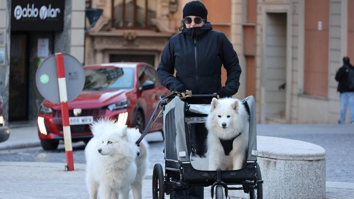 Esta ha sido la mínima en Alicante por la entrada de una masa de aire ártico