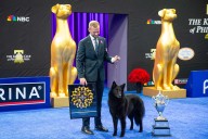 National Dog Show's Best in Show Win Goes to Soliel the Belgian Sheepdog