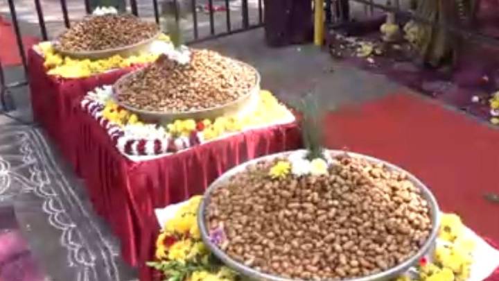 Kadalekai Parishe draws lakhs of visitors as Bengaluru’s iconic groundnut fair returns