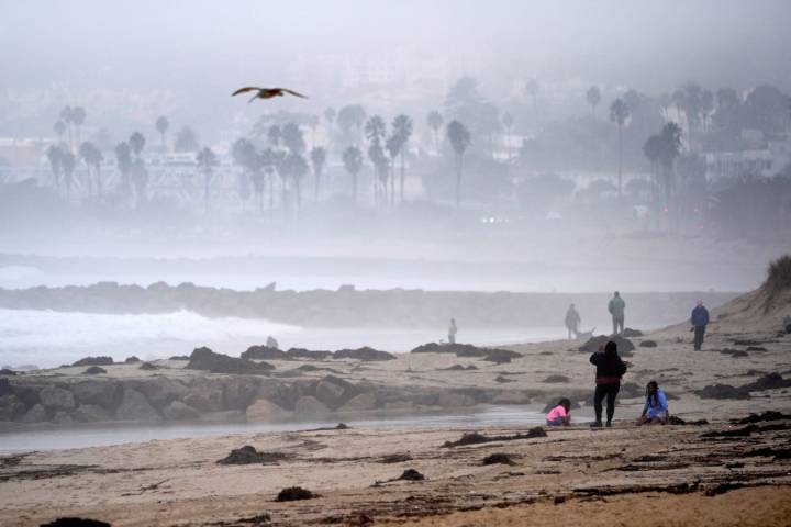 Police stop alleged sex assault in progress at Southern California park