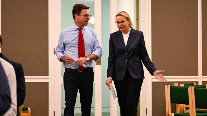 ‘We cannot sit on the fence’: Liberal senator backs Nationals push to dump net zero as Coalition faces crunch point