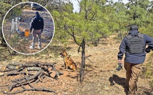 Casi 120 restos recuperados de fosas clandestinas