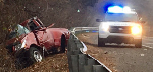 Carolinas Expecting Record Number of Deer Collisions This Thanksgiving