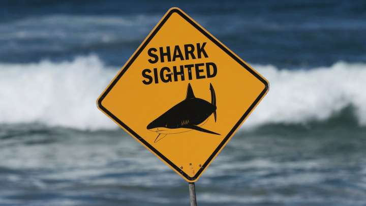 A shark kills a woman and seriously wounds another swimmer at an Australia beach