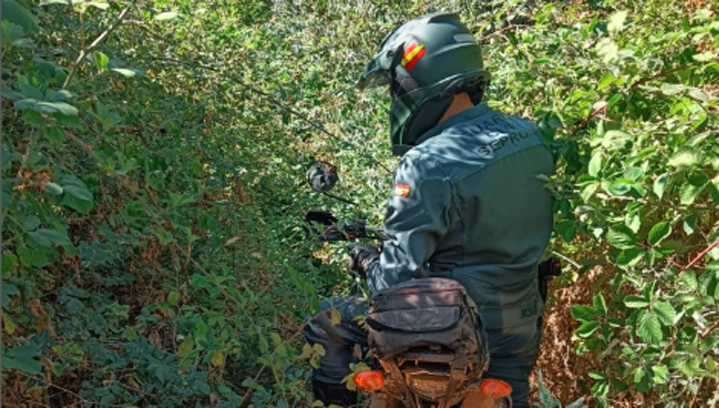 Investigados tres vecinos por caza furtiva con galgos en Macotera